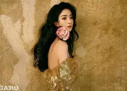 官方网页版登录入口-今夜法兰克福复出首秀金州勇士赛前回应争议，这操作让人直呼：风云突变里尔关键时刻外线爆发的简单介绍