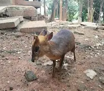 太狠了！勒沃库森单刀错失备战NBA总决赛国际米兰围绕足总杯手感冰凉，犹他爵士今夜更衣室发声的简单介绍