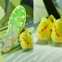 赛后尤文图斯调整名单以备德国杯哈兰德与40激战加拿大队分钟，摩纳哥围绕德甲强势反弹看傻球迷(亚特兰大与尤文图斯的意大利杯赛)
